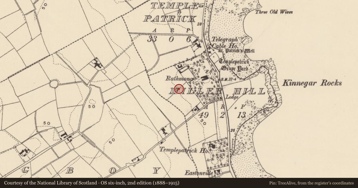 Ordnance Survey six-inch map, 2nd edition (1888–1915) covering the location of WWII Observation post, Miller Hill, Ards and North Down, with a pin at the register's coordinates