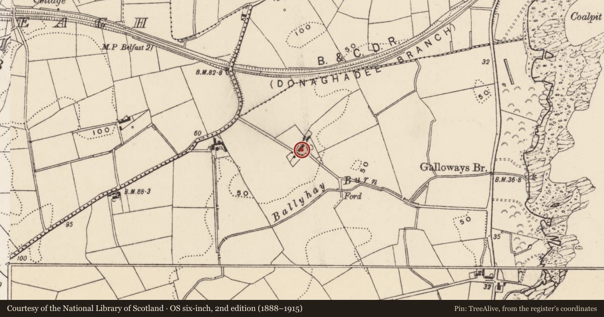 Ordnance Survey six-inch map, 2nd edition (1888–1915) covering the location of Ballyvester Farm, Ards and North Down, with a pin at the register's coordinates