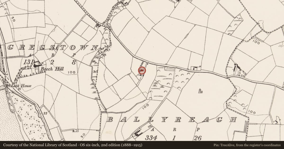 Ordnance Survey six-inch map, 2nd edition (1888–1915) covering the location of Fort Hill, Ballyreagh, Ards and North Down, with a pin at the register's coordinates