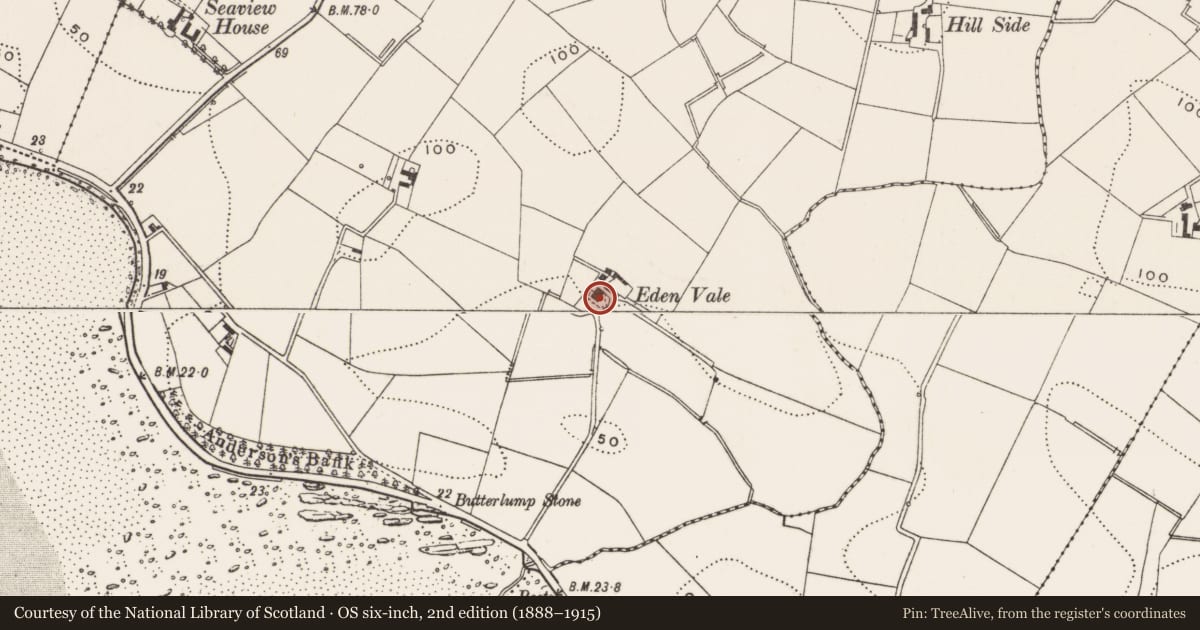 Ordnance Survey six-inch map, 2nd edition (1888–1915) covering the location of Eden Vale, Ballywatticock, Ards and North Down, with a pin at the register's coordinates
