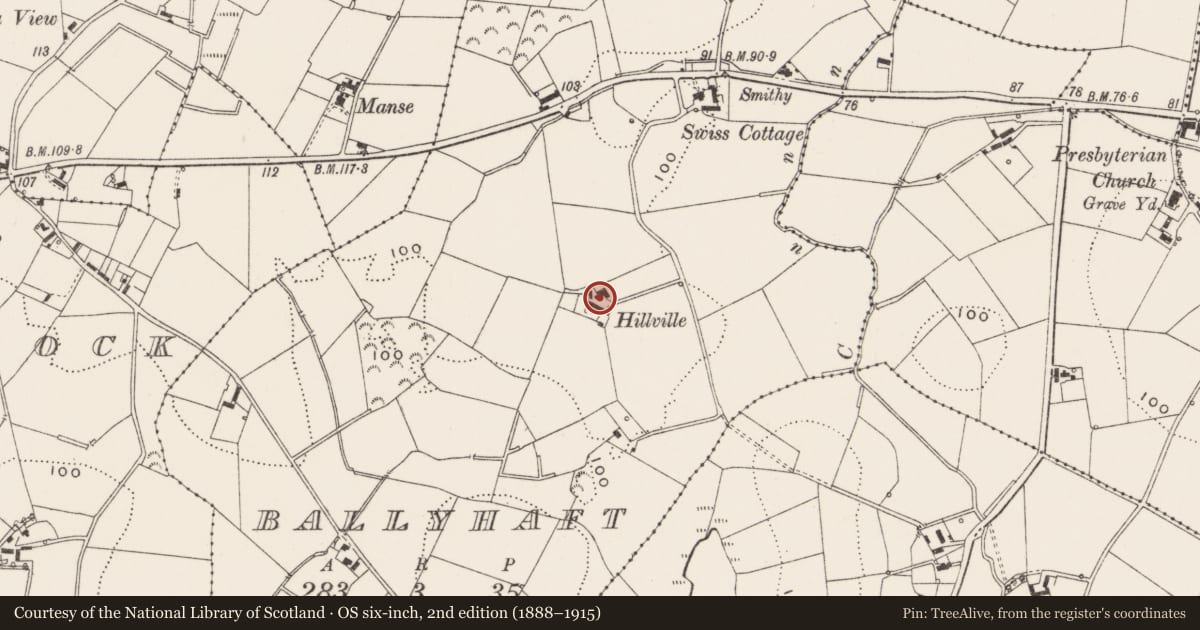 Ordnance Survey six-inch map, 2nd edition (1888–1915) covering the location of Hillville, Ballyhaft, Ards and North Down, with a pin at the register's coordinates