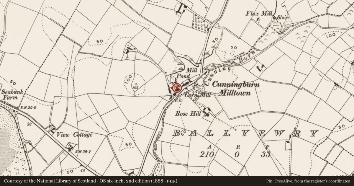 Ordnance Survey six-inch map, 2nd edition (1888–1915) covering the location of Chimney, Cunningburn, Ards and North Down, with a pin at the register's coordinates