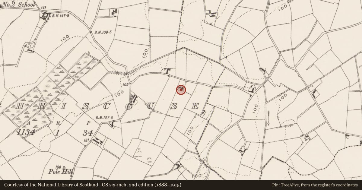 Ordnance Survey six-inch map, 2nd edition (1888–1915) covering the location of 26 Loughries Road, Loughriscouse, Ards and North Down, with a pin at the register's coordinates