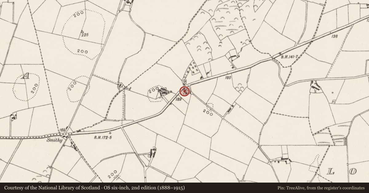Ordnance Survey six-inch map, 2nd edition (1888–1915) covering the location of 117 Movilla Road, Ballyalicock, Ards and North Down, with a pin at the register's coordinates