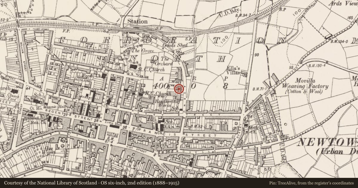 Ordnance Survey six-inch map, 2nd edition (1888–1915) covering the location of 20 Victoria Avenue, Newtownards, Ards and North Down, with a pin at the register's coordinates