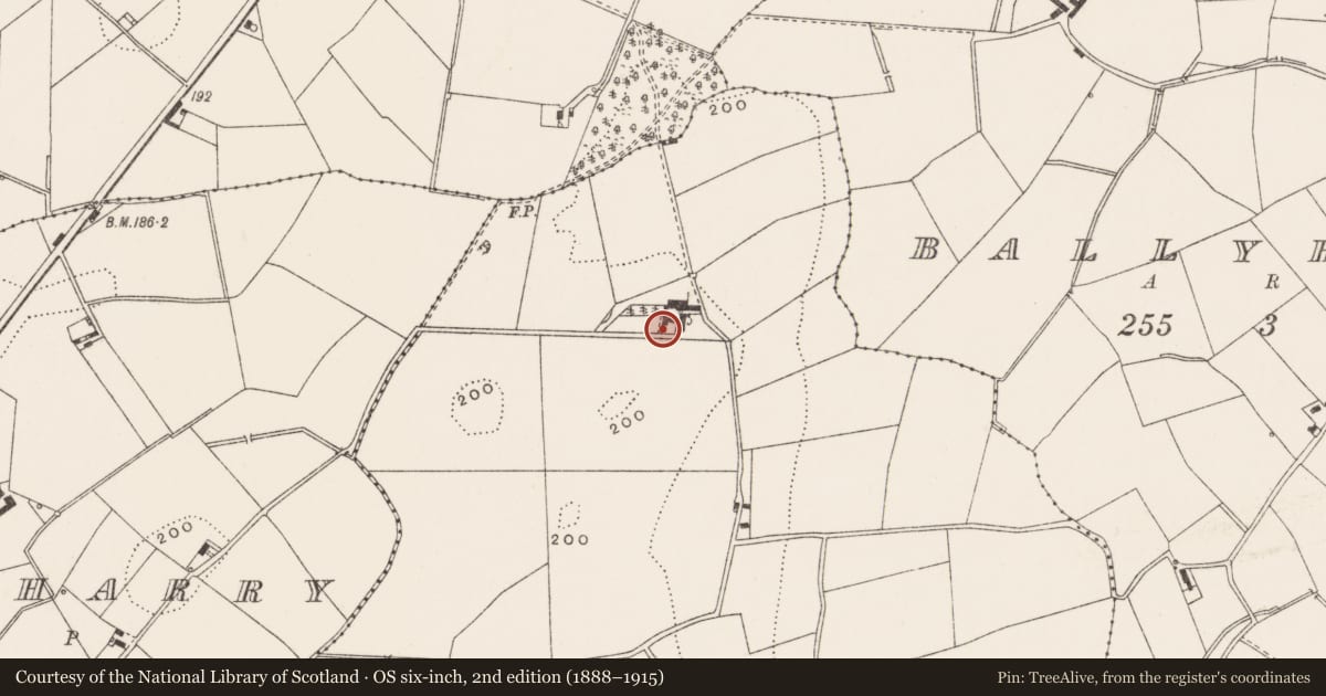 Ordnance Survey six-inch map, 2nd edition (1888–1915) covering the location of Cronstown Farm, Ards and North Down, with a pin at the register's coordinates