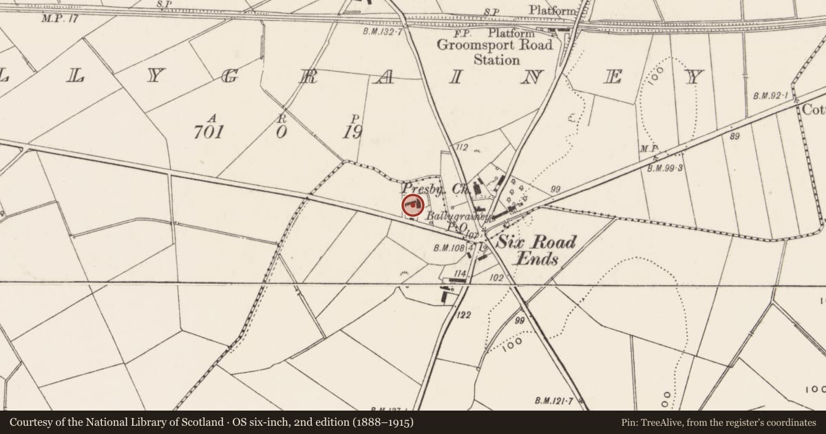 Ordnance Survey six-inch map, 2nd edition (1888–1915) covering the location of Ashton House, Gransha, Ards and North Down, with a pin at the register's coordinates
