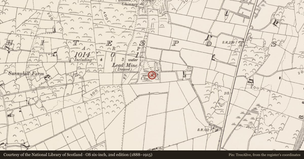 Ordnance Survey six-inch map, 2nd edition (1888–1915) covering the location of Ruined winding house and chimney, Whitespots, Ards and North Down, with a pin at the register's coordinates
