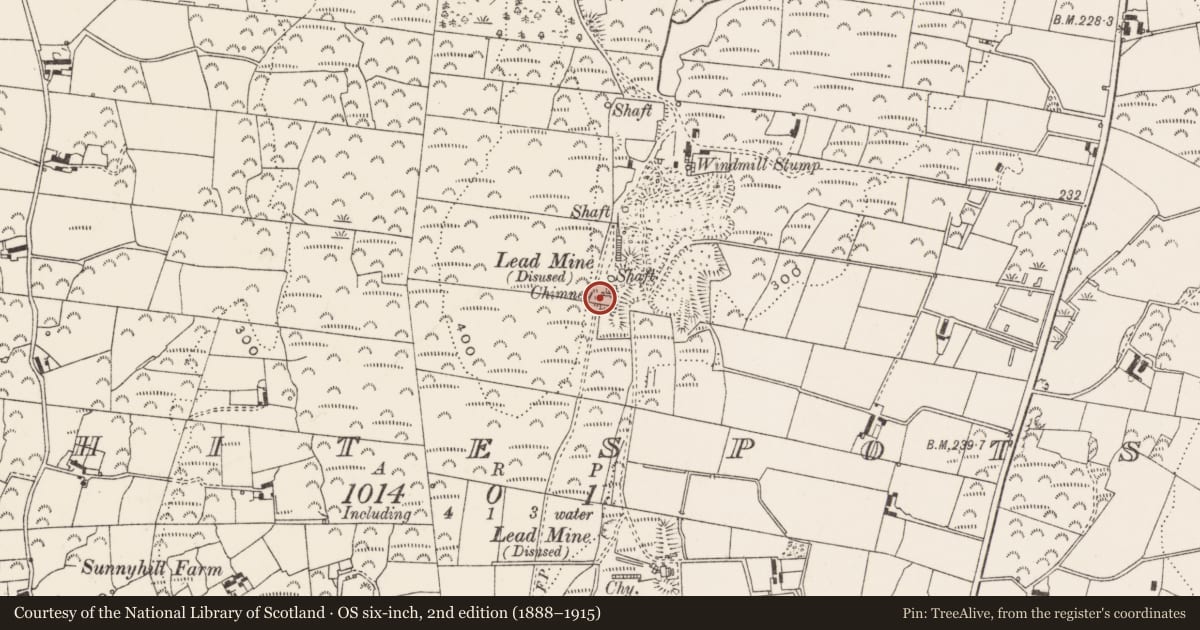 Ordnance Survey six-inch map, 2nd edition (1888–1915) covering the location of Chimney, Whitespots, Ards and North Down, with a pin at the register's coordinates