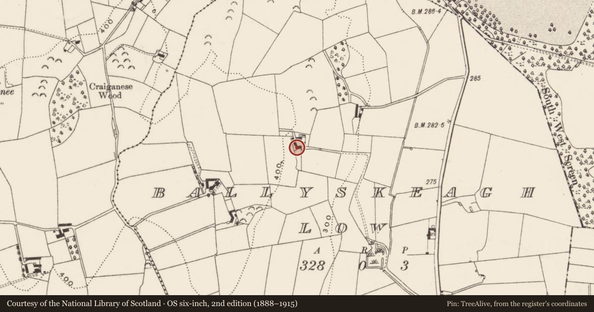 Ordnance Survey six-inch map, 2nd edition (1888–1915) covering the location of Castle Toppy, Ballyskeagh, Ards and North Down, with a pin at the register's coordinates