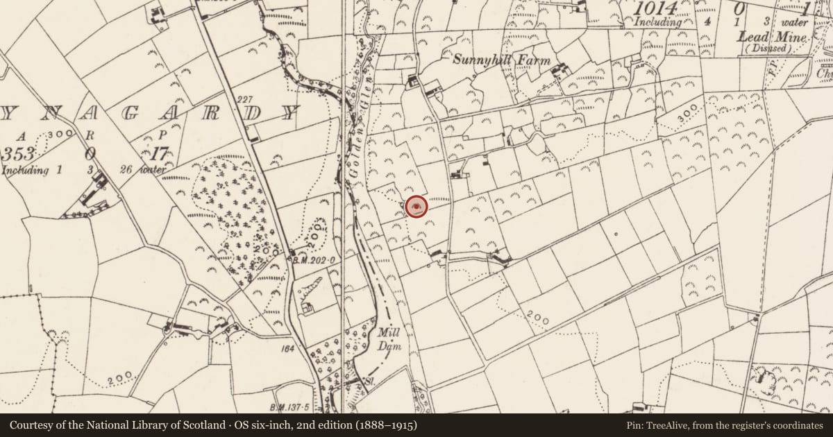 Ordnance Survey six-inch map, 2nd edition (1888–1915) covering the location of 30 Mountain Road, White Spots, Ards and North Down, with a pin at the register's coordinates