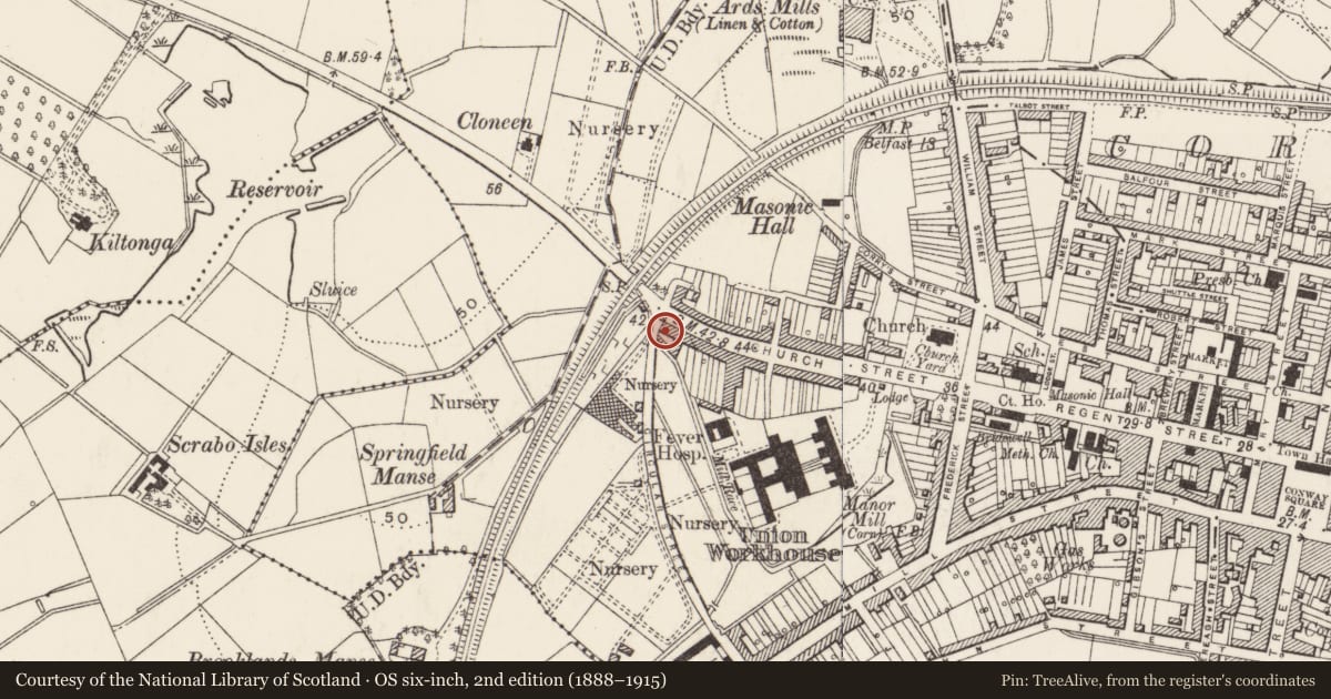 Ordnance Survey six-inch map, 2nd edition (1888–1915) covering the location of Strangford Arms Hotel, Newtownards, Ards and North Down, with a pin at the register's coordinates