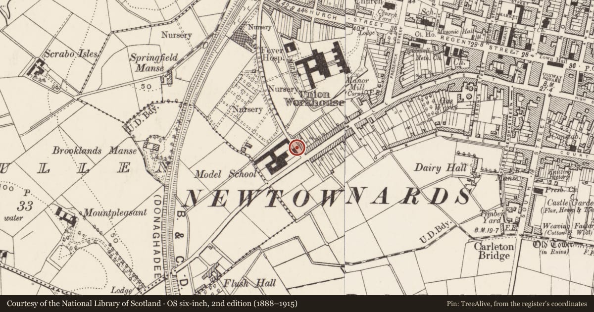 Ordnance Survey six-inch map, 2nd edition (1888–1915) covering the location of 1-14 Circular Road, Newtownards, Ards and North Down, with a pin at the register's coordinates