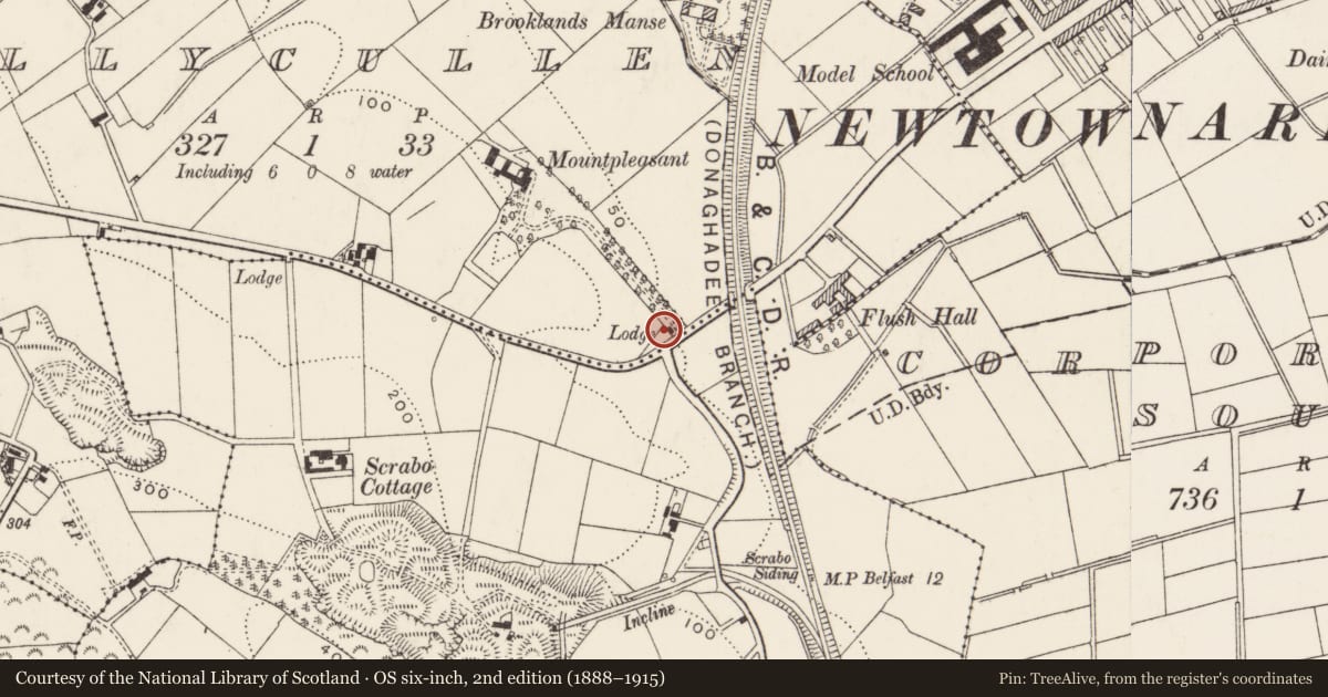 Ordnance Survey six-inch map, 2nd edition (1888–1915) covering the location of 147 Scrabo Road, Ballycullen, Ards and North Down, with a pin at the register's coordinates