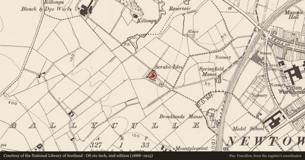 Ordnance Survey six-inch map, 2nd edition (1888–1915) covering the location of Scrabo Isles, Ballycullen, Ards and North Down, with a pin at the register's coordinates