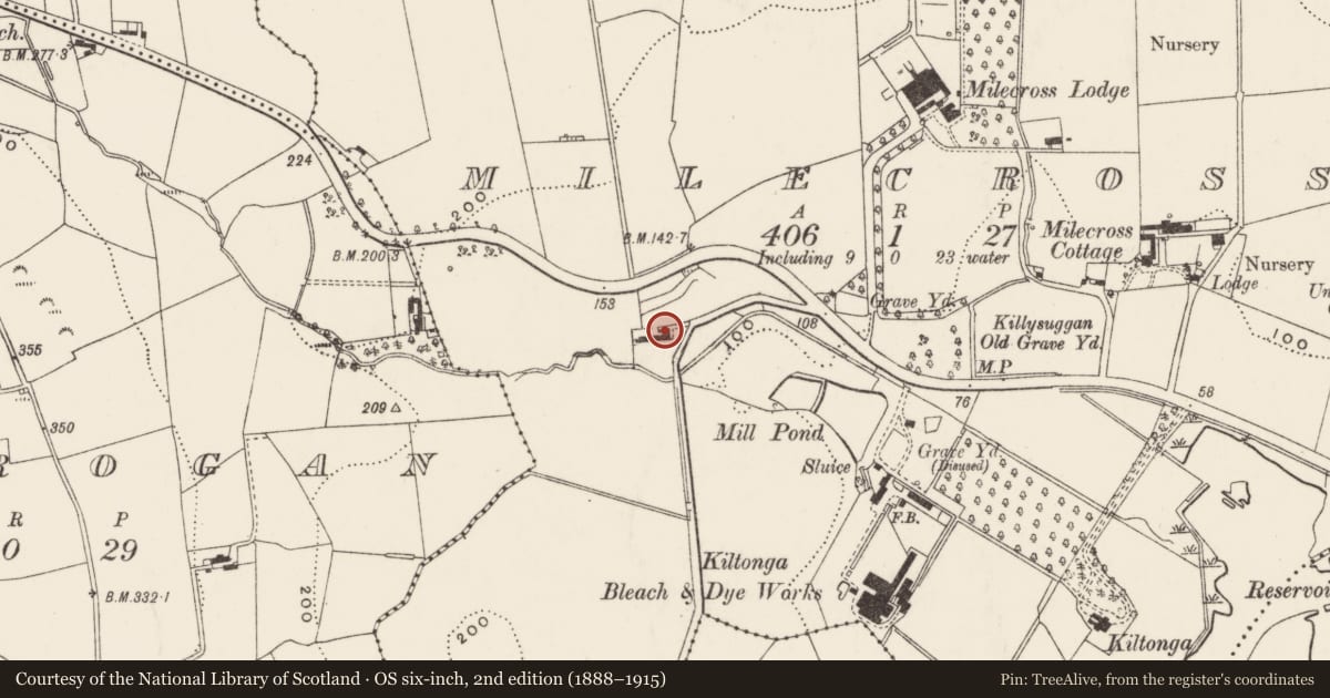 Ordnance Survey six-inch map, 2nd edition (1888–1915) covering the location of Milecross Cottage, Ards and North Down, with a pin at the register's coordinates