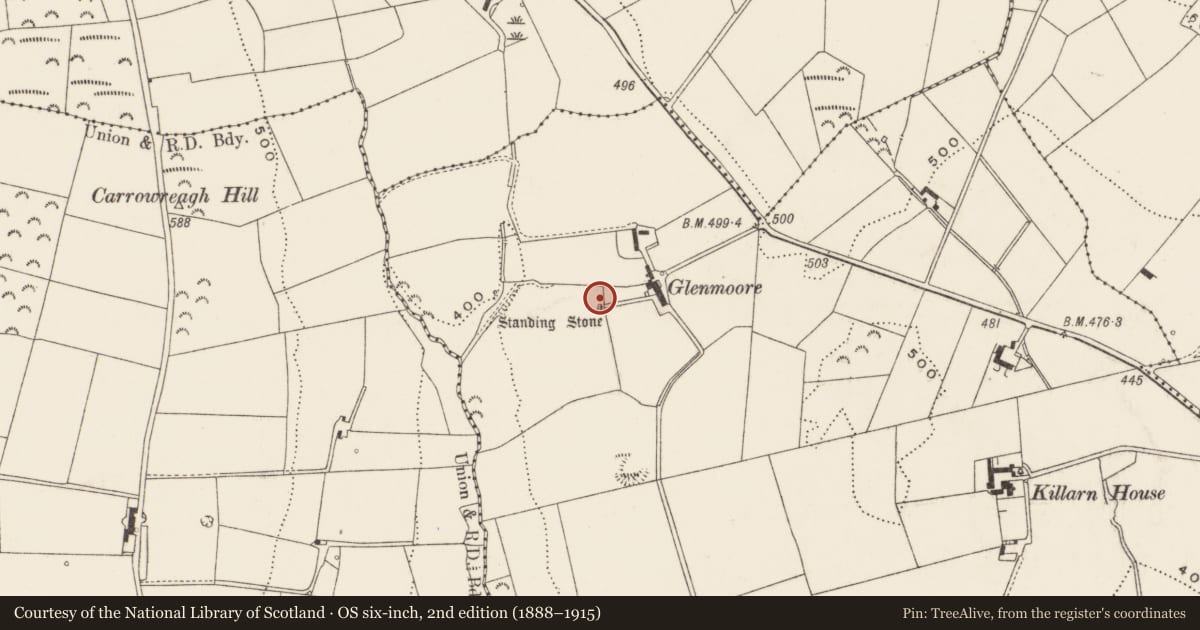 Ordnance Survey six-inch map, 2nd edition (1888–1915) covering the location of Standing Stone, Killarn, Ards and North Down, with a pin at the register's coordinates