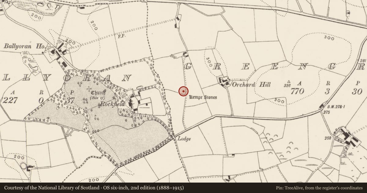 Ordnance Survey six-inch map, 2nd edition (1888–1915) covering the location of The Kempe Stones, Greengraves, Ards and North Down, with a pin at the register's coordinates