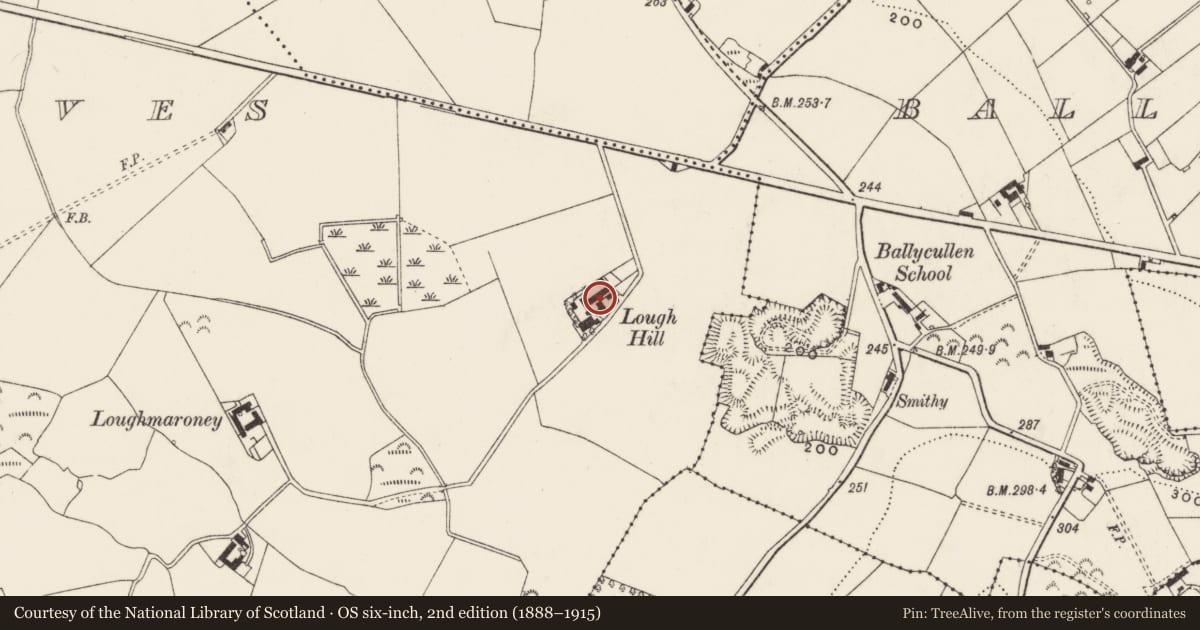 Ordnance Survey six-inch map, 2nd edition (1888–1915) covering the location of Lough Moronay, Greengraves, Ards and North Down, with a pin at the register's coordinates