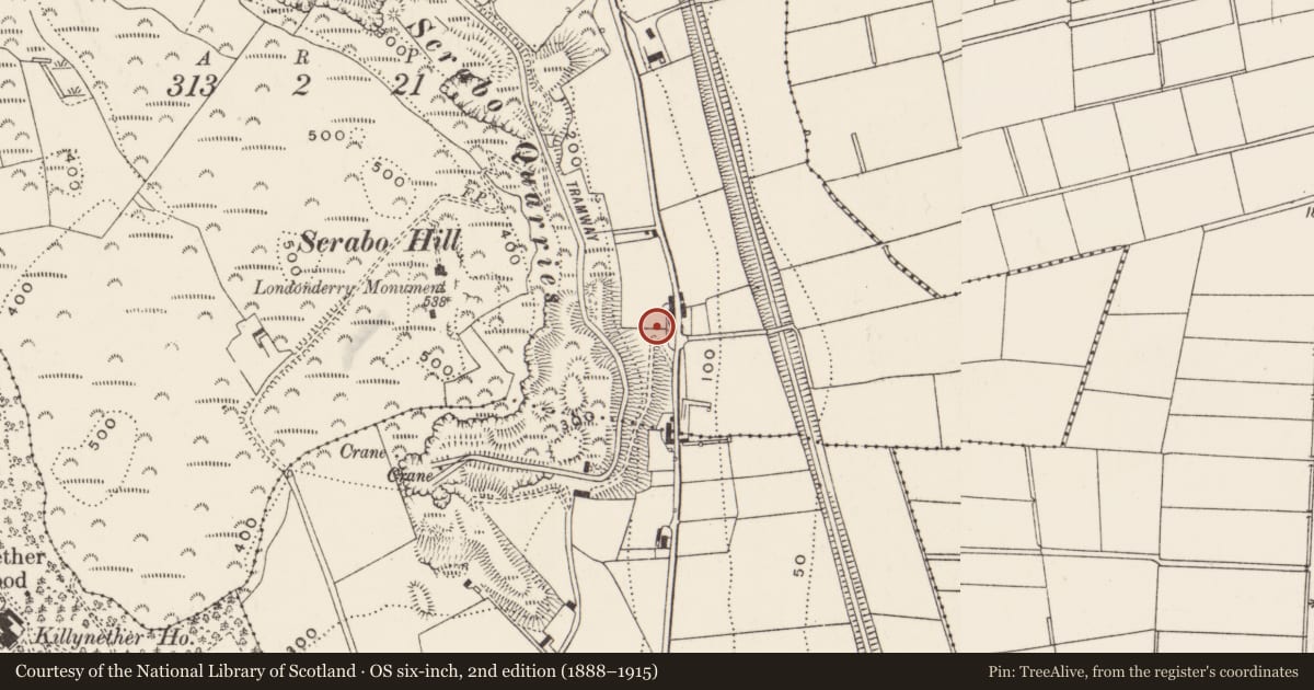 Ordnance Survey six-inch map, 2nd edition (1888–1915) covering the location of Campview, Scrabo, Ards and North Down, with a pin at the register's coordinates