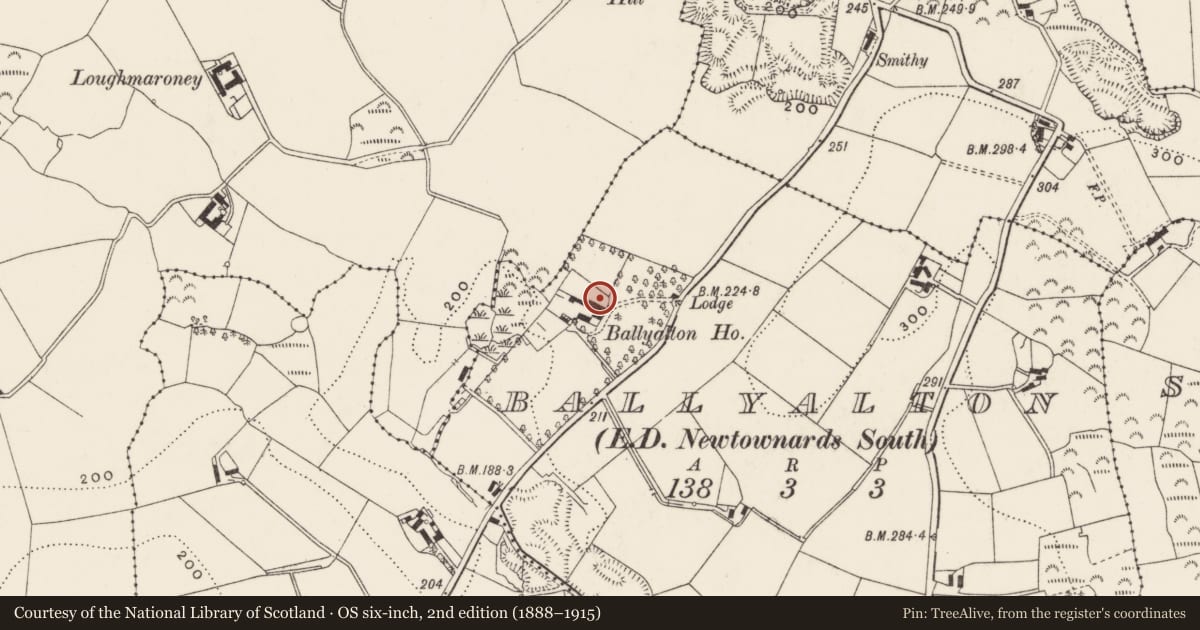 Ordnance Survey six-inch map, 2nd edition (1888–1915) covering the location of Ballyalton House, Ards and North Down, with a pin at the register's coordinates