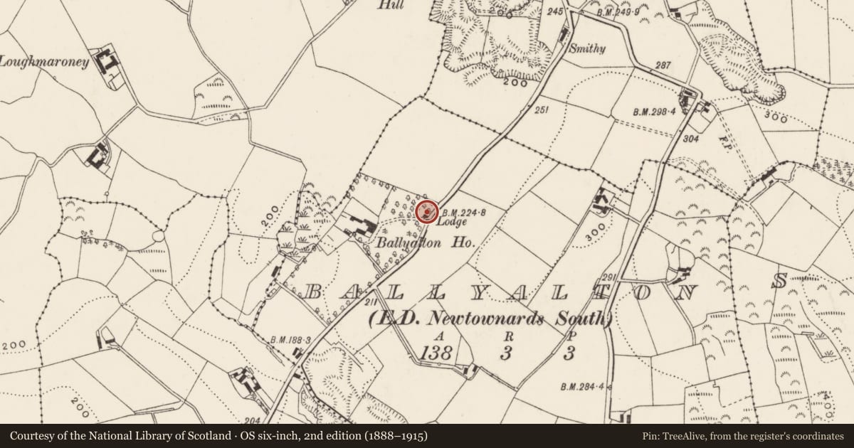 Ordnance Survey six-inch map, 2nd edition (1888–1915) covering the location of Gate screen, Ballyrainey, Ards and North Down, with a pin at the register's coordinates