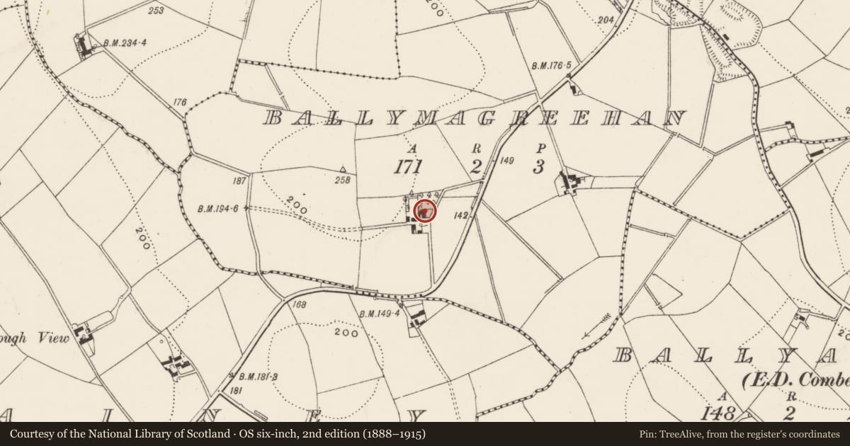 Ordnance Survey six-inch map, 2nd edition (1888–1915) covering the location of Newton House, Ballymagreehan, Ards and North Down, with a pin at the register's coordinates