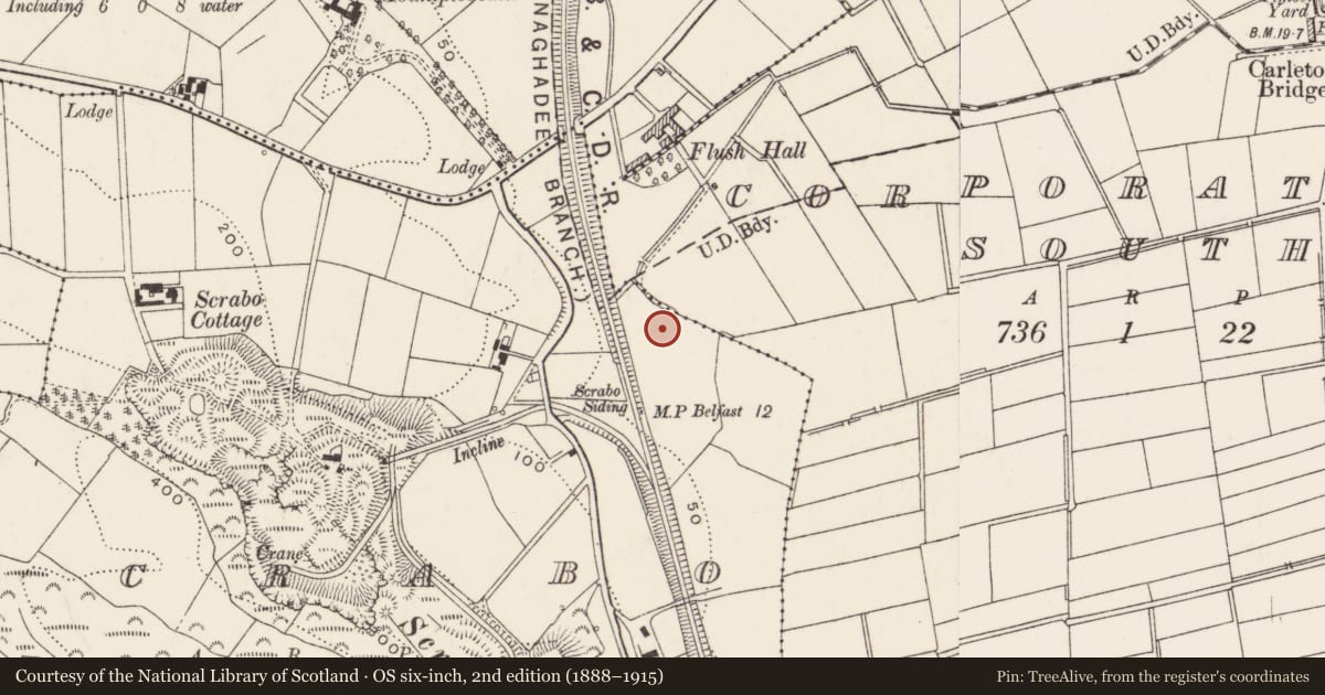 Ordnance Survey six-inch map, 2nd edition (1888–1915) covering the location of B.I.H. Scrabo Glen [front facade], Newtownards, Ards and North Down, with a pin at the register's coordinates