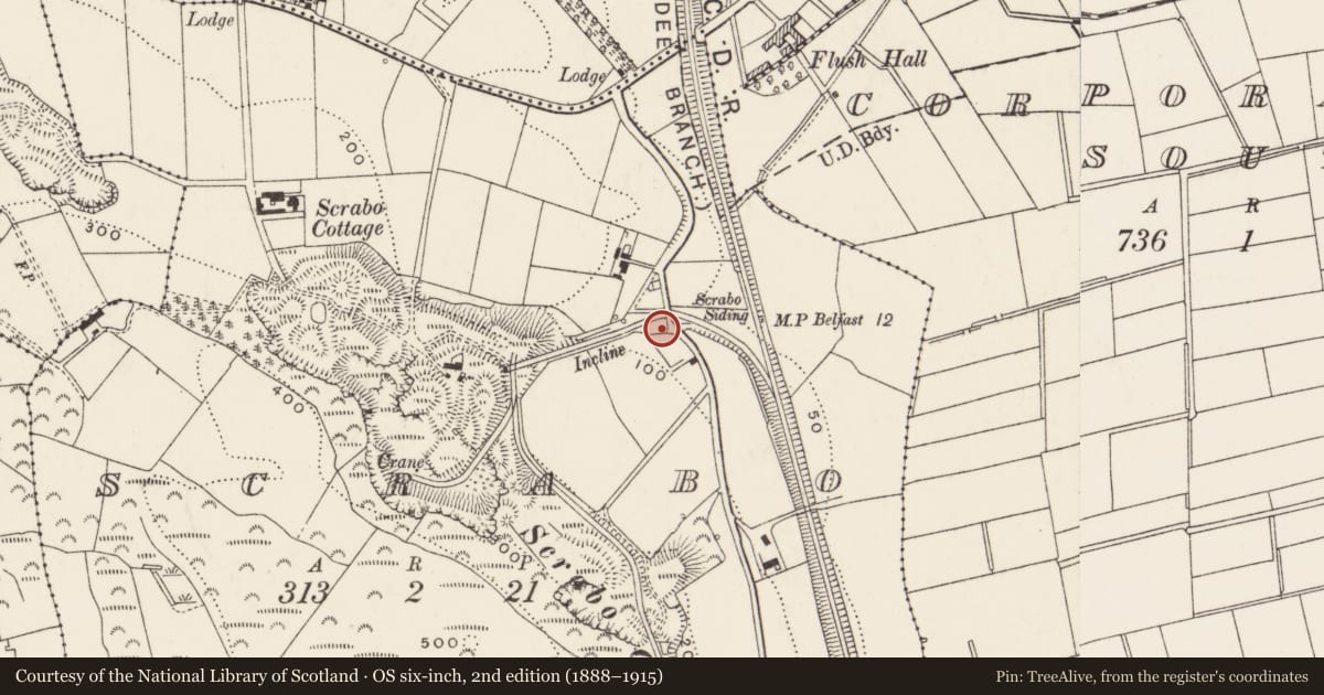 Ordnance Survey six-inch map, 2nd edition (1888–1915) covering the location of Bridge, Newtownards, Ards and North Down, with a pin at the register's coordinates