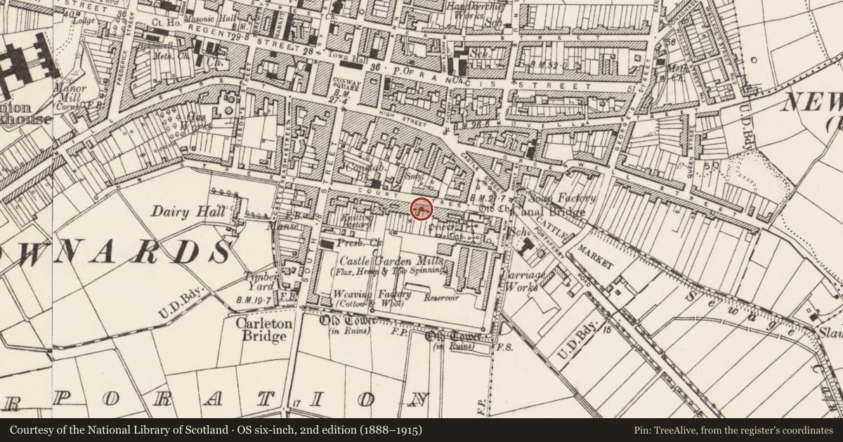 Ordnance Survey six-inch map, 2nd edition (1888–1915) covering the location of 51 Court St. Newtownards Co. Down, Ards and North Down, with a pin at the register's coordinates