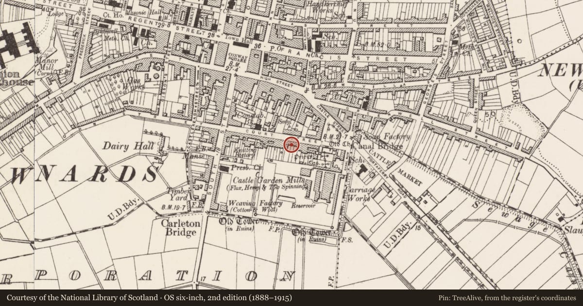Ordnance Survey six-inch map, 2nd edition (1888–1915) covering the location of 53 Court St. Newtownards Co. Down, Ards and North Down, with a pin at the register's coordinates