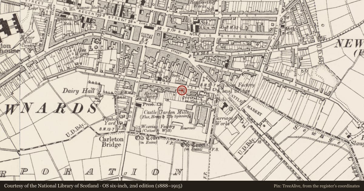 Ordnance Survey six-inch map, 2nd edition (1888–1915) covering the location of 57 Court St. Newtownards Co. Down, Ards and North Down, with a pin at the register's coordinates