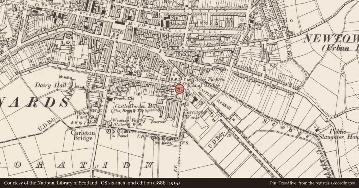Ordnance Survey six-inch map, 2nd edition (1888–1915) covering the location of 10 Court Square Newtownards Co. Down, Ards and North Down, with a pin at the register's coordinates