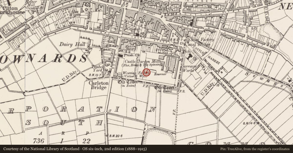 Ordnance Survey six-inch map, 2nd edition (1888–1915) covering the location of Site of fish pond, Newtownards, Ards and North Down, with a pin at the register's coordinates