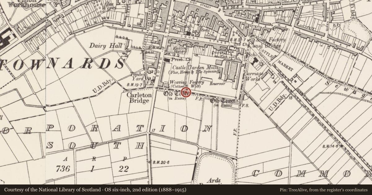 Ordnance Survey six-inch map, 2nd edition (1888–1915) covering the location of Old flanking towers in south boundary wall of former priory bawn, Newtownards, Ards and North Down, with a pin at the register's coordinates