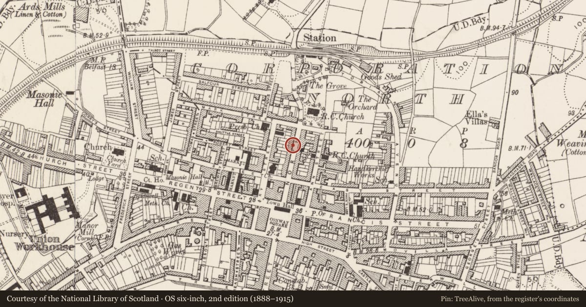 Ordnance Survey six-inch map, 2nd edition (1888–1915) covering the location of 50-56 North Street, Newtownards, Ards and North Down, with a pin at the register's coordinates