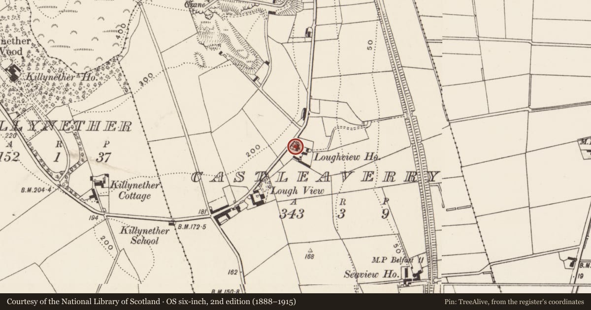 Ordnance Survey six-inch map, 2nd edition (1888–1915) covering the location of Lough View, Castleaverry, Ards and North Down, with a pin at the register's coordinates