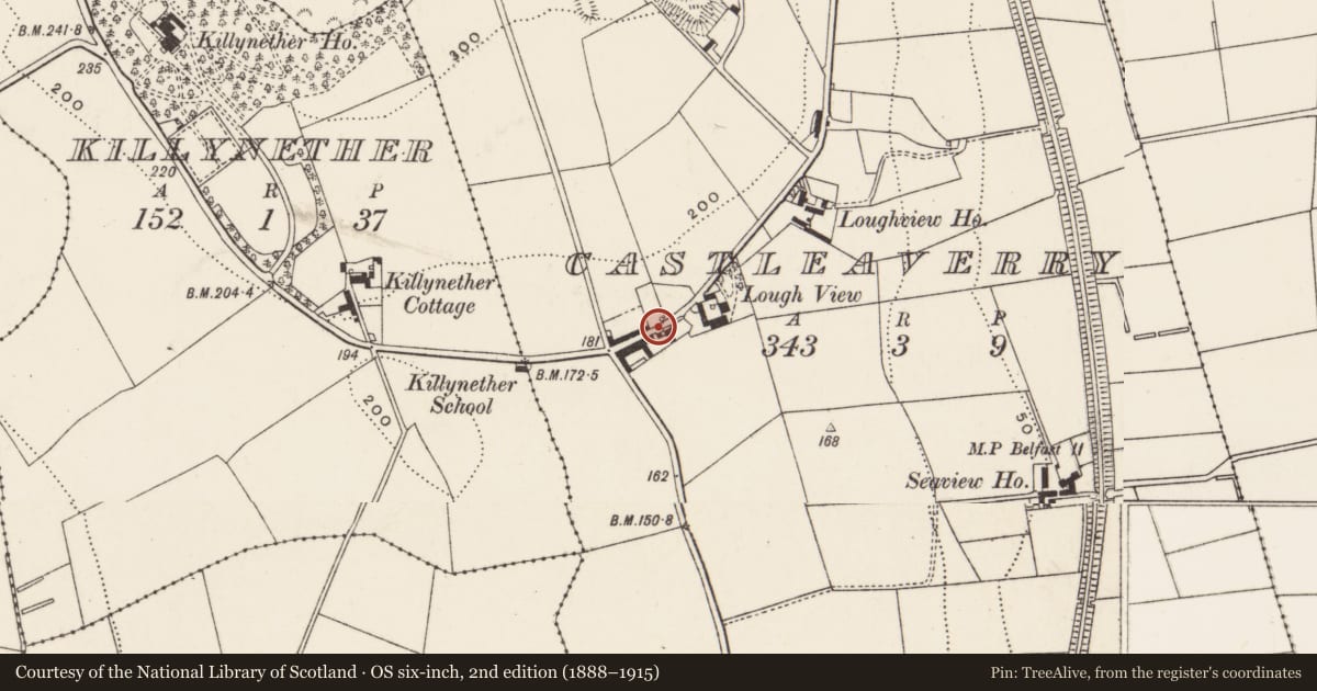 Ordnance Survey six-inch map, 2nd edition (1888–1915) covering the location of Alexandra House, Castleaverry, with a pin at the register's coordinates