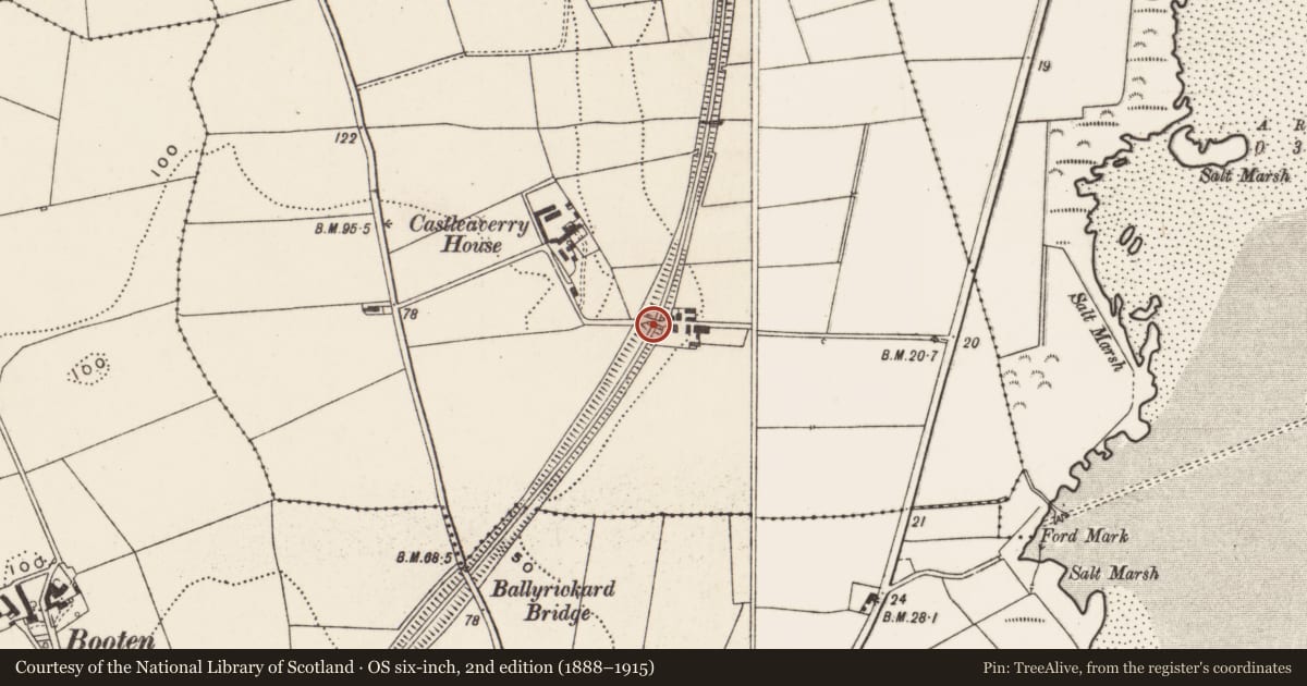 Ordnance Survey six-inch map, 2nd edition (1888–1915) covering the location of Railway bridge, Castleaverry, Ards and North Down, with a pin at the register's coordinates