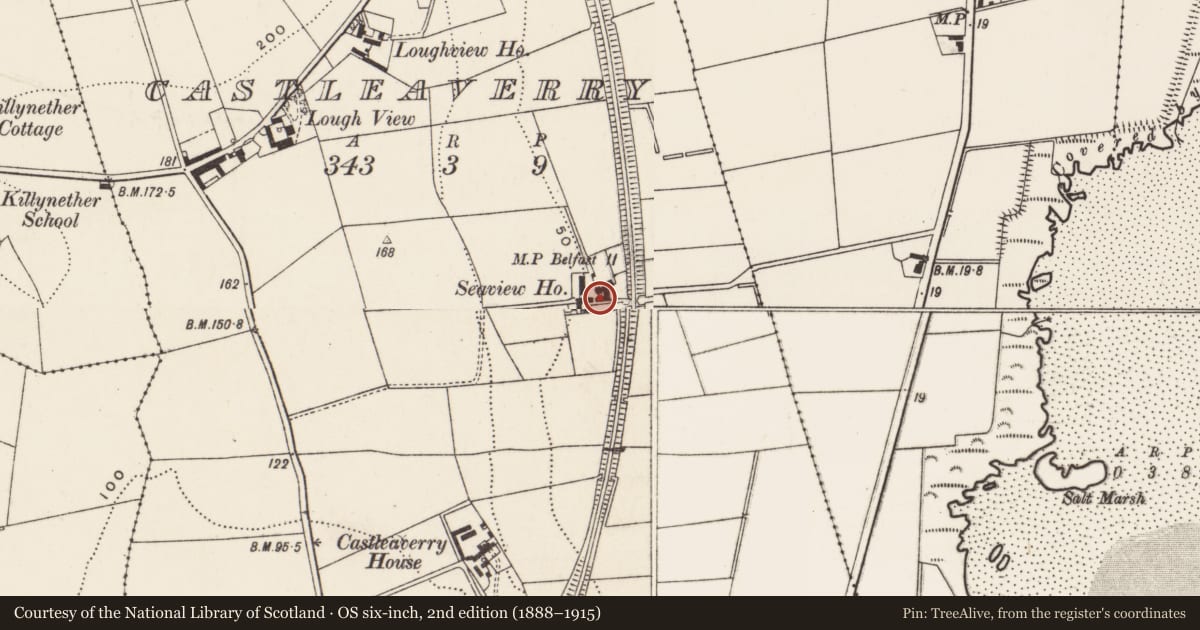 Ordnance Survey six-inch map, 2nd edition (1888–1915) covering the location of Seaview House, Castleaverry, Ards and North Down, with a pin at the register's coordinates