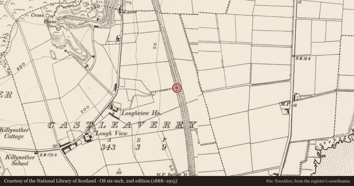 Ordnance Survey six-inch map, 2nd edition (1888–1915) covering the location of Former railway bridge, Castleaverry, Ards and North Down, with a pin at the register's coordinates