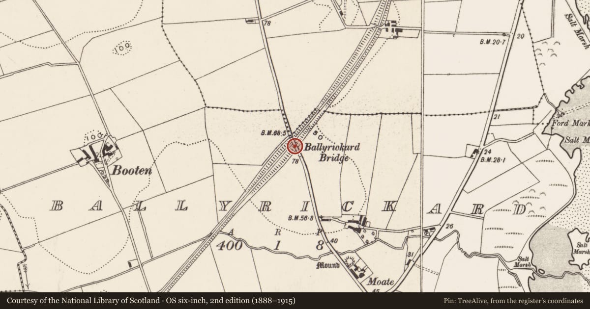 Ordnance Survey six-inch map, 2nd edition (1888–1915) covering the location of Ballyrickard Bridge, Ards and North Down, with a pin at the register's coordinates