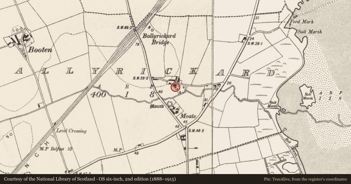 Ordnance Survey six-inch map, 2nd edition (1888–1915) covering the location of Ballyrickard House, Ards and North Down, with a pin at the register's coordinates