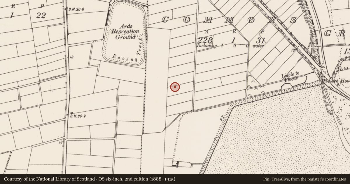 Ordnance Survey six-inch map, 2nd edition (1888–1915) covering the location of Ulster Flying Club Ltd., Newtownards (Commons), Ards and North Down, with a pin at the register's coordinates