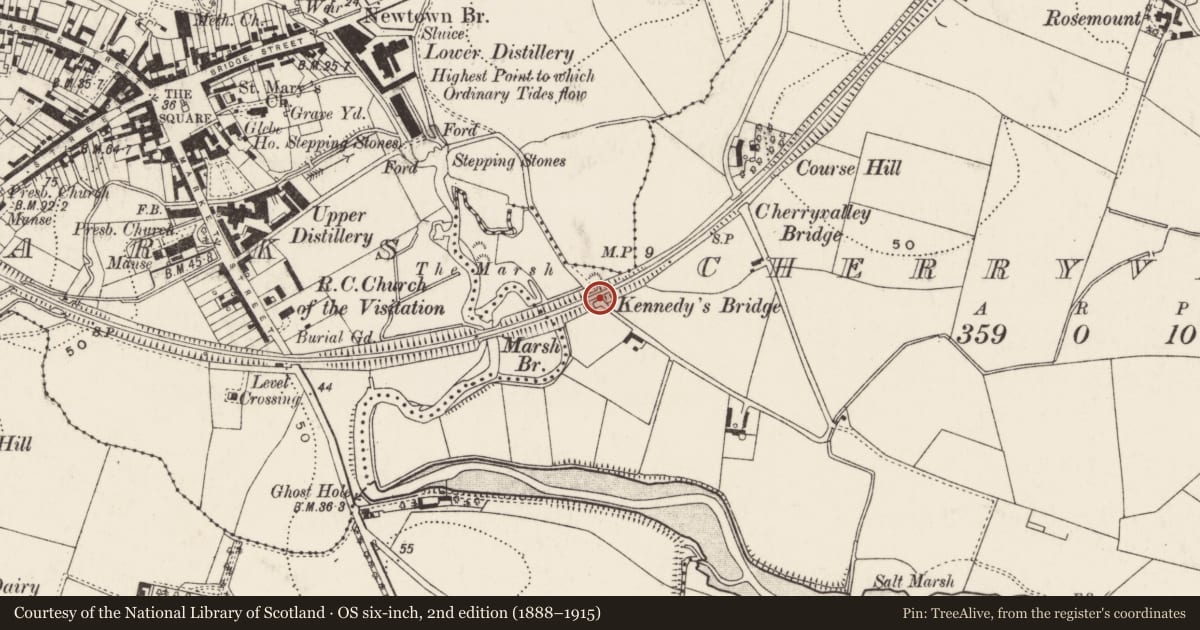 Ordnance Survey six-inch map, 2nd edition (1888–1915) covering the location of Kennedy’s Bridge, Cherryvalley, Ards and North Down, with a pin at the register's coordinates