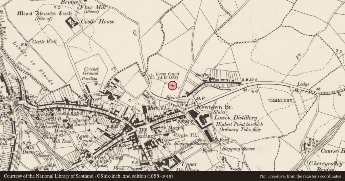 Ordnance Survey six-inch map, 2nd edition (1888–1915) covering the location of Comber Primary School, Town Parks, Ards and North Down, with a pin at the register's coordinates