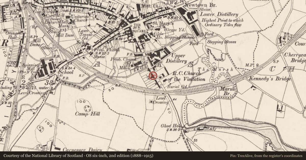 Ordnance Survey six-inch map, 2nd edition (1888–1915) covering the location of 23 Killinchy Street, Town Parks, Ards and North Down, with a pin at the register's coordinates