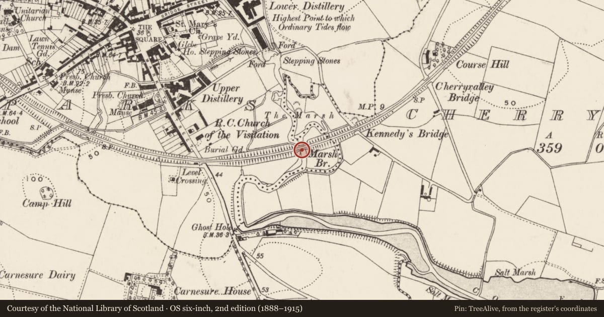 Ordnance Survey six-inch map, 2nd edition (1888–1915) covering the location of Marsh Bridge, Comber Town Parks, Ards and North Down, with a pin at the register's coordinates