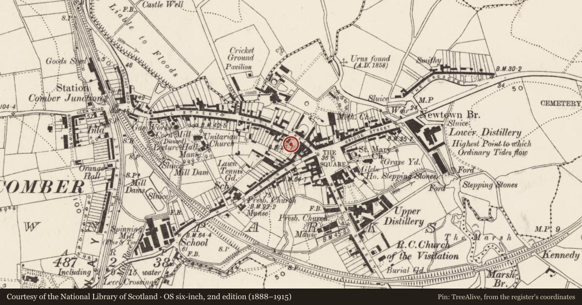 Ordnance Survey six-inch map, 2nd edition (1888–1915) covering the location of Hall at Comber Non-subscribing Presbyterian Church, Town Parks, Ards and North Down, with a pin at the register's coordinates