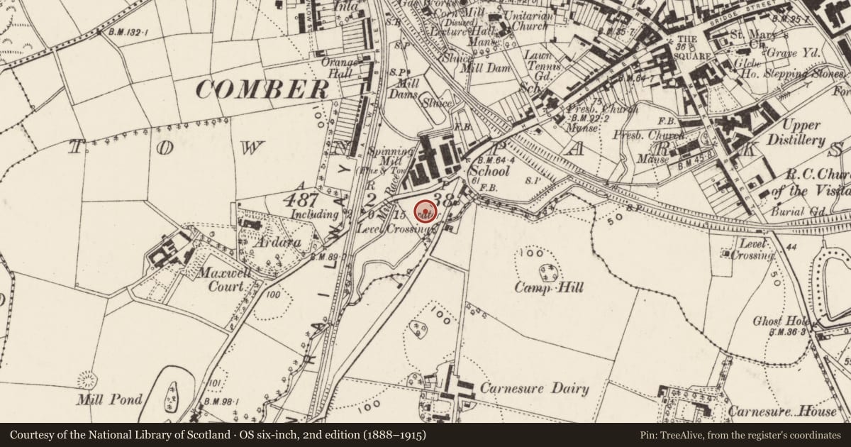 Ordnance Survey six-inch map, 2nd edition (1888–1915) covering the location of Andrews Memorial Hall, Comber, Ards and North Down, with a pin at the register's coordinates